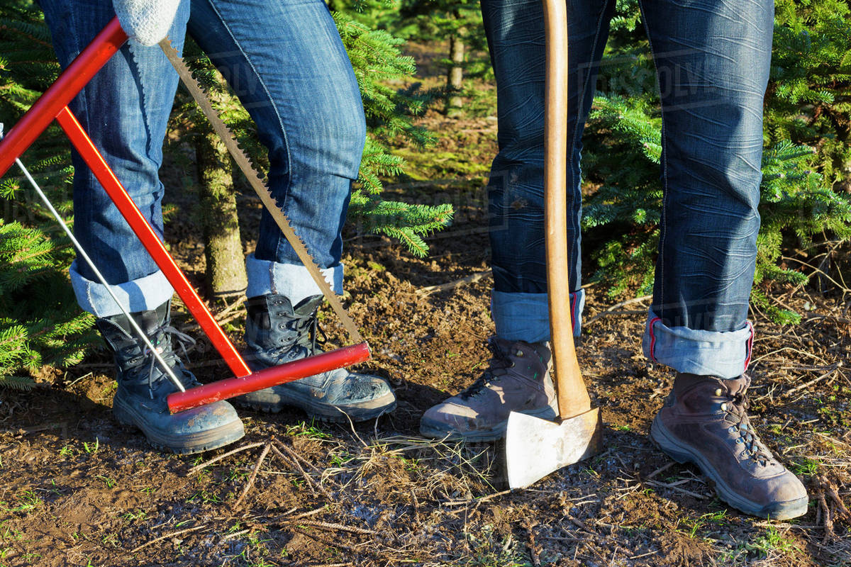 Prepared to cut a fresh Christmas tree; Chilliwack, British Columbia