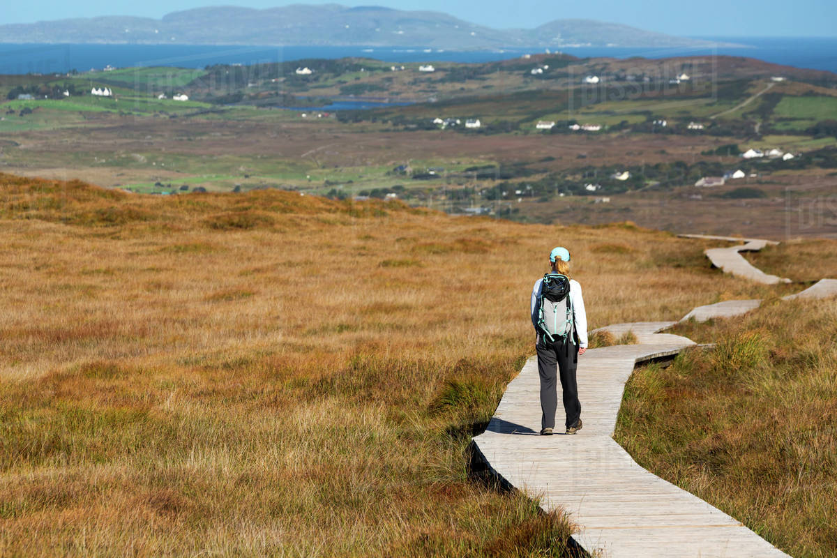 Female hiker walking along a boardwalk over grassy bog land with the