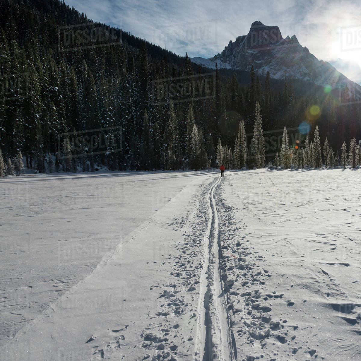 CrossCountry Skiing In Yoho National Park; Field, British Columbia, Canada Stock Photo Dissolve