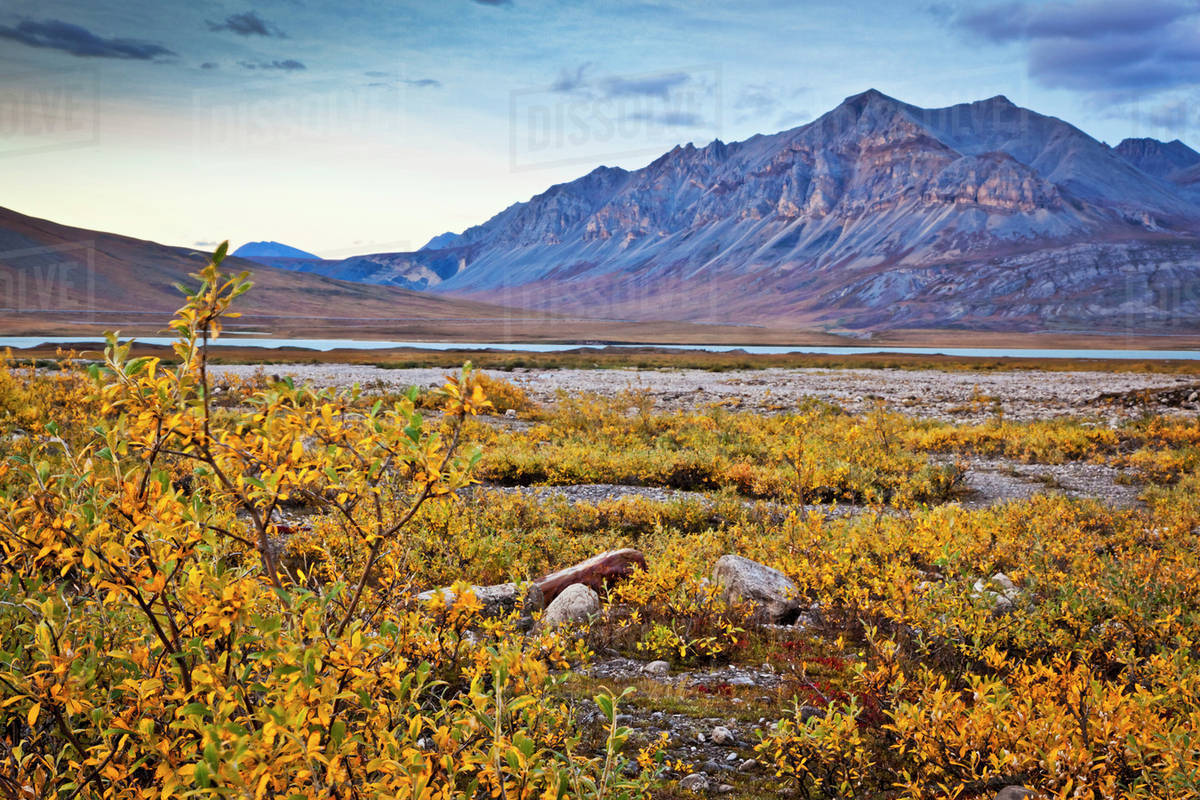 Brooks Range in Arctic National Wildlife Refuge from Galbraith Lake at