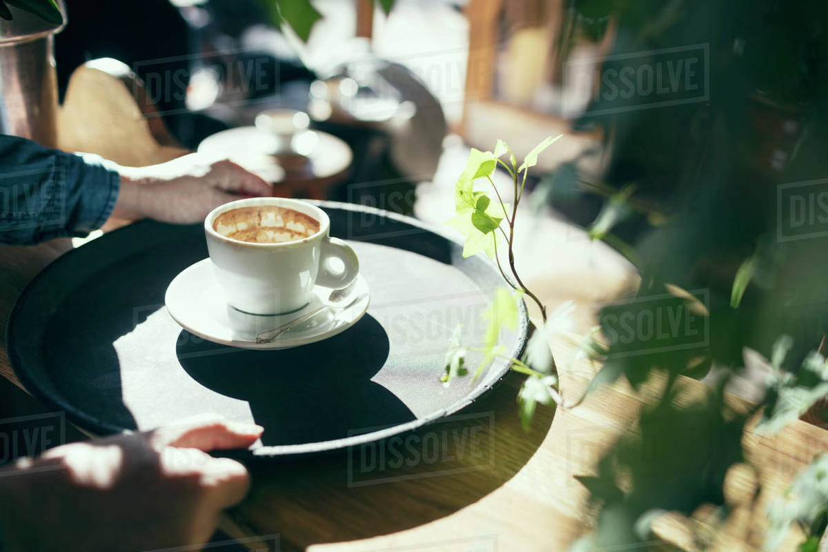 Cropped image of hands holding serving tray with coffee cup in cafe