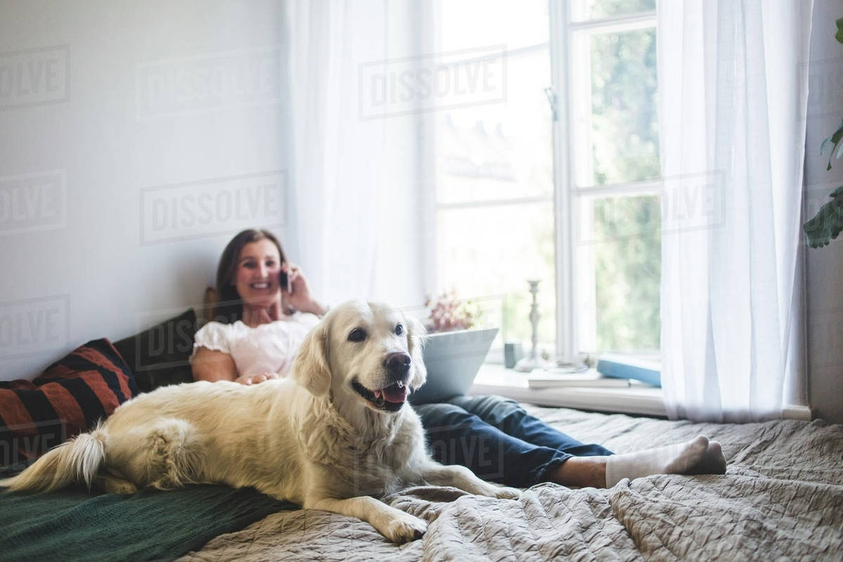 Dog resting with senior woman talking on mobile phone on bed at home Royalty-free stock photo