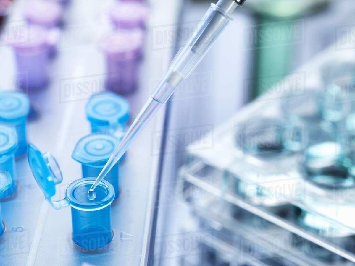 Pipetting drops of liquid into eppendorf tubes, high angle view Stock