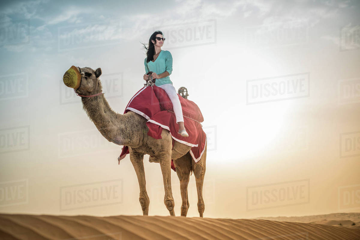 Female tourist riding camel in desert, Dubai, United Arab Emirates Stock Photo Dissolve