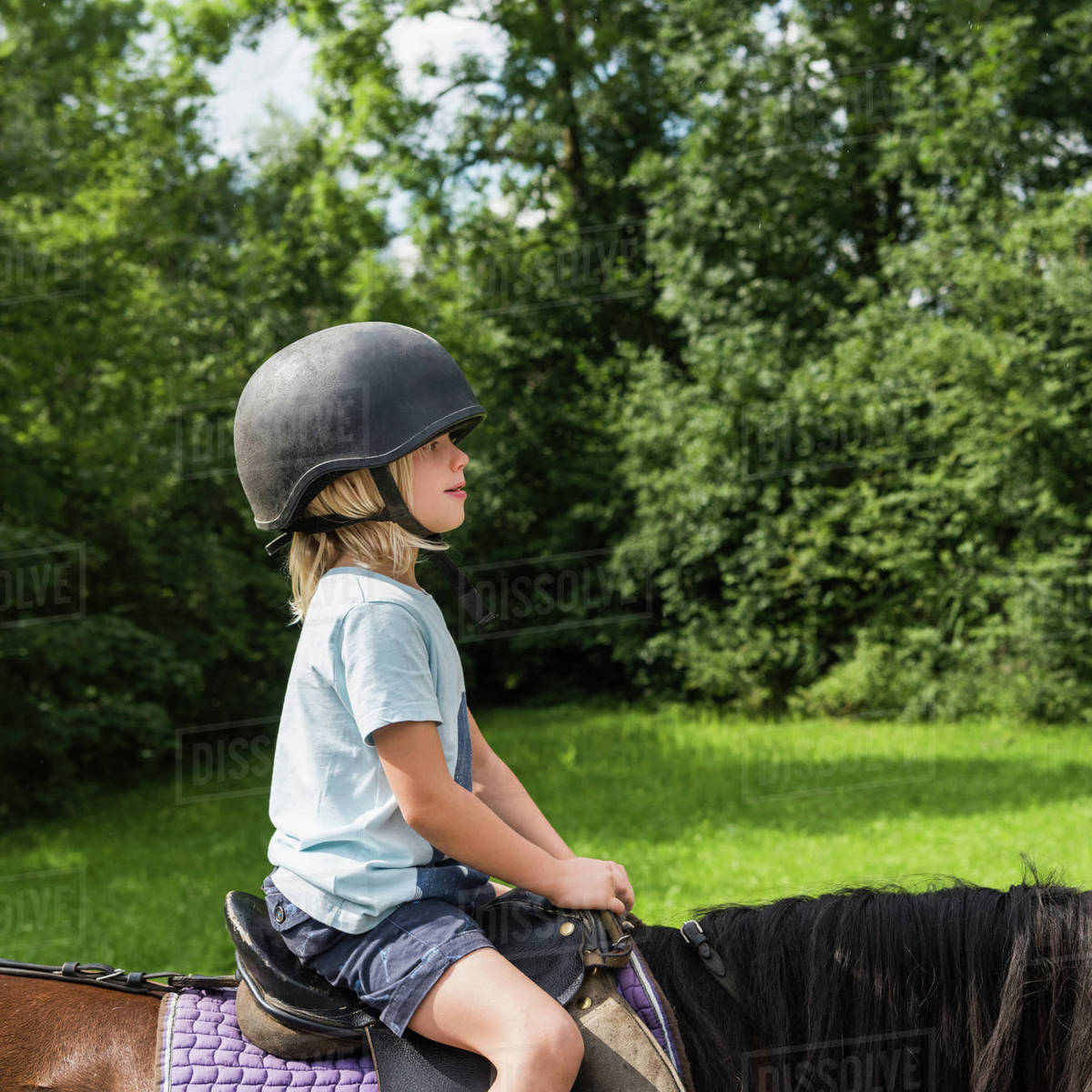 Side view of boy horse riding Stock Photo Dissolve
