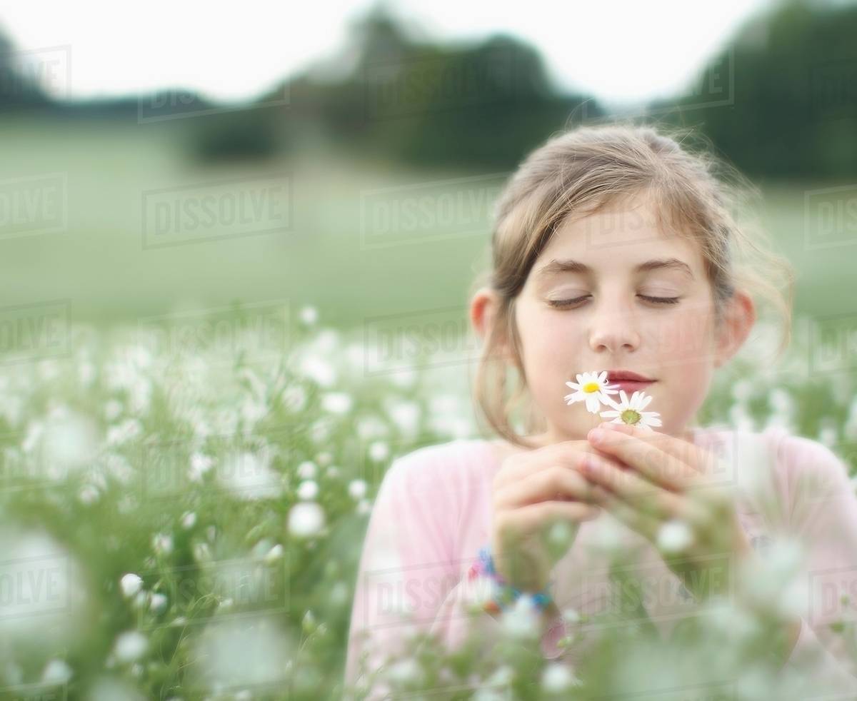 Girl smelling flowers in meadow Stock Photo Dissolve