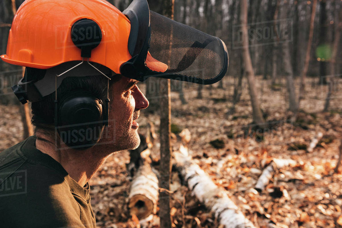 Portrait of male logger in orange hard hat gazing in sunlit autumn