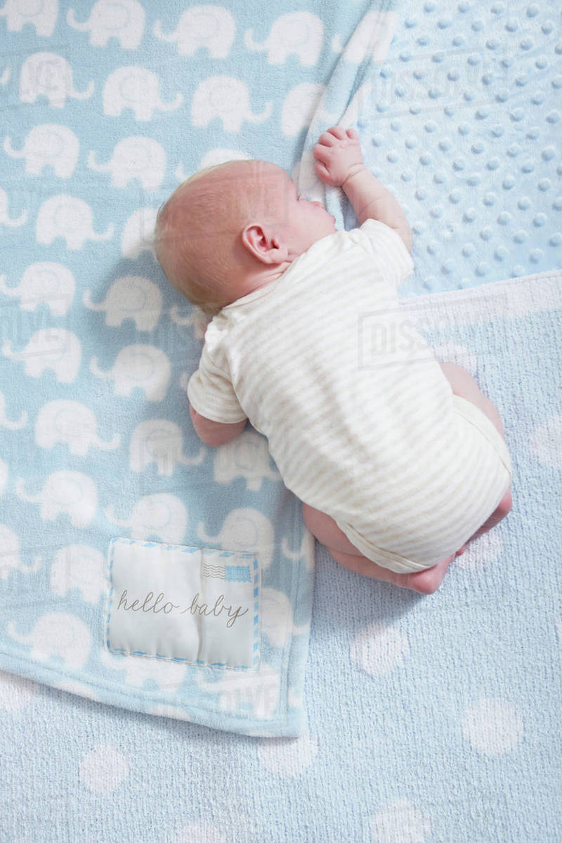 Newborn baby boy, sleeping on blankets, overhead view Stock Photo