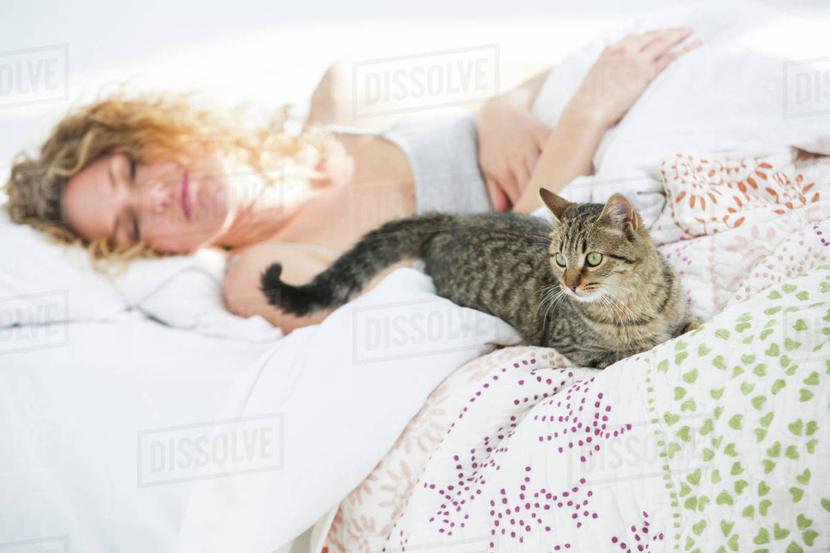 in bed with cat