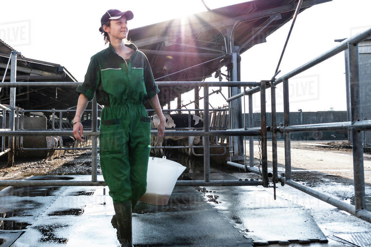 Dairy farm worker carrying bucket Stock Photo Dissolve