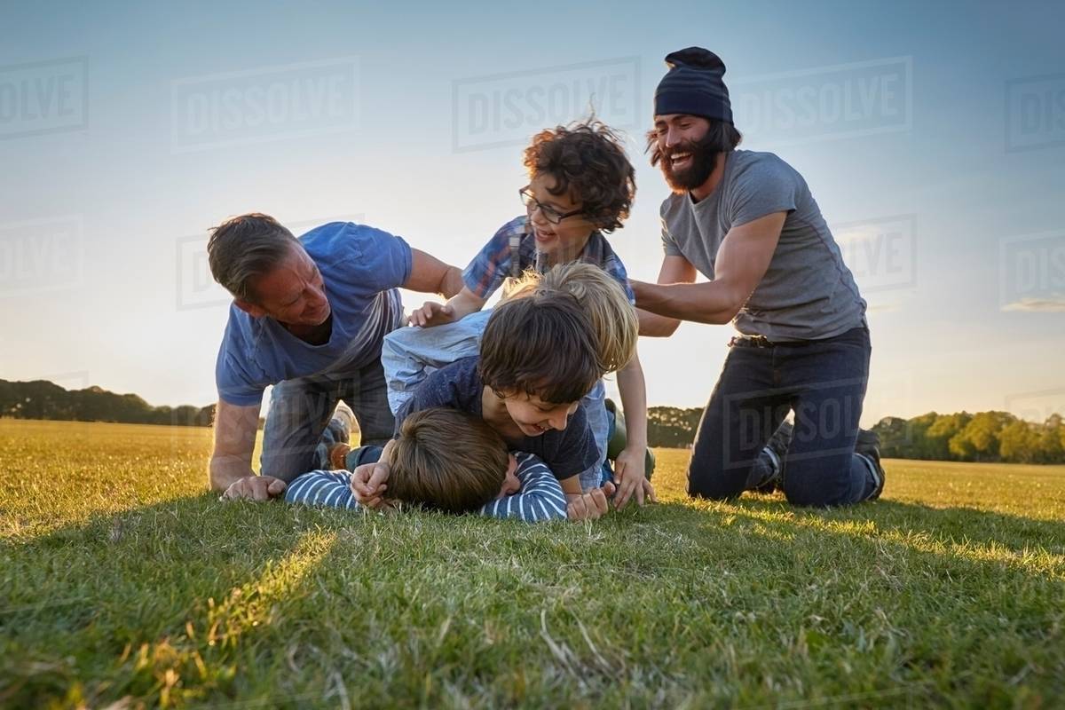 Family enjoying outdoor activities in the park Stock Photo Dissolve