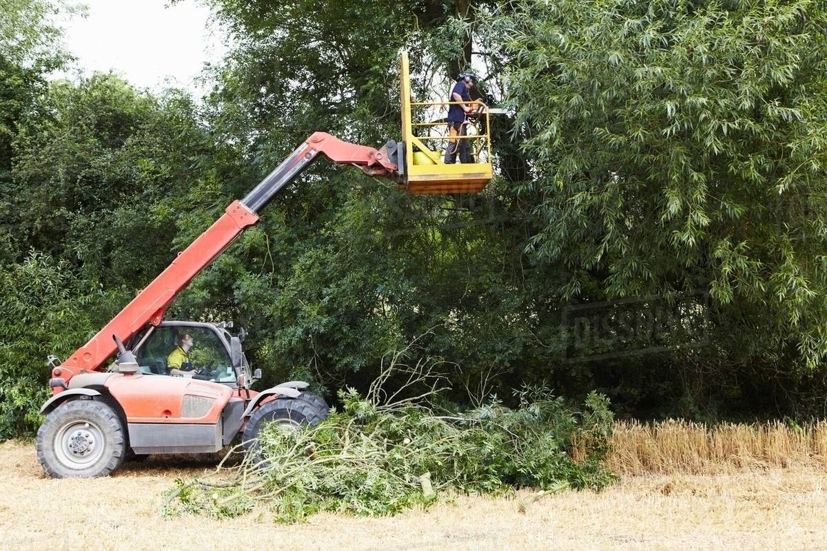 Farmer working on cherry picker Stock Photo Dissolve
