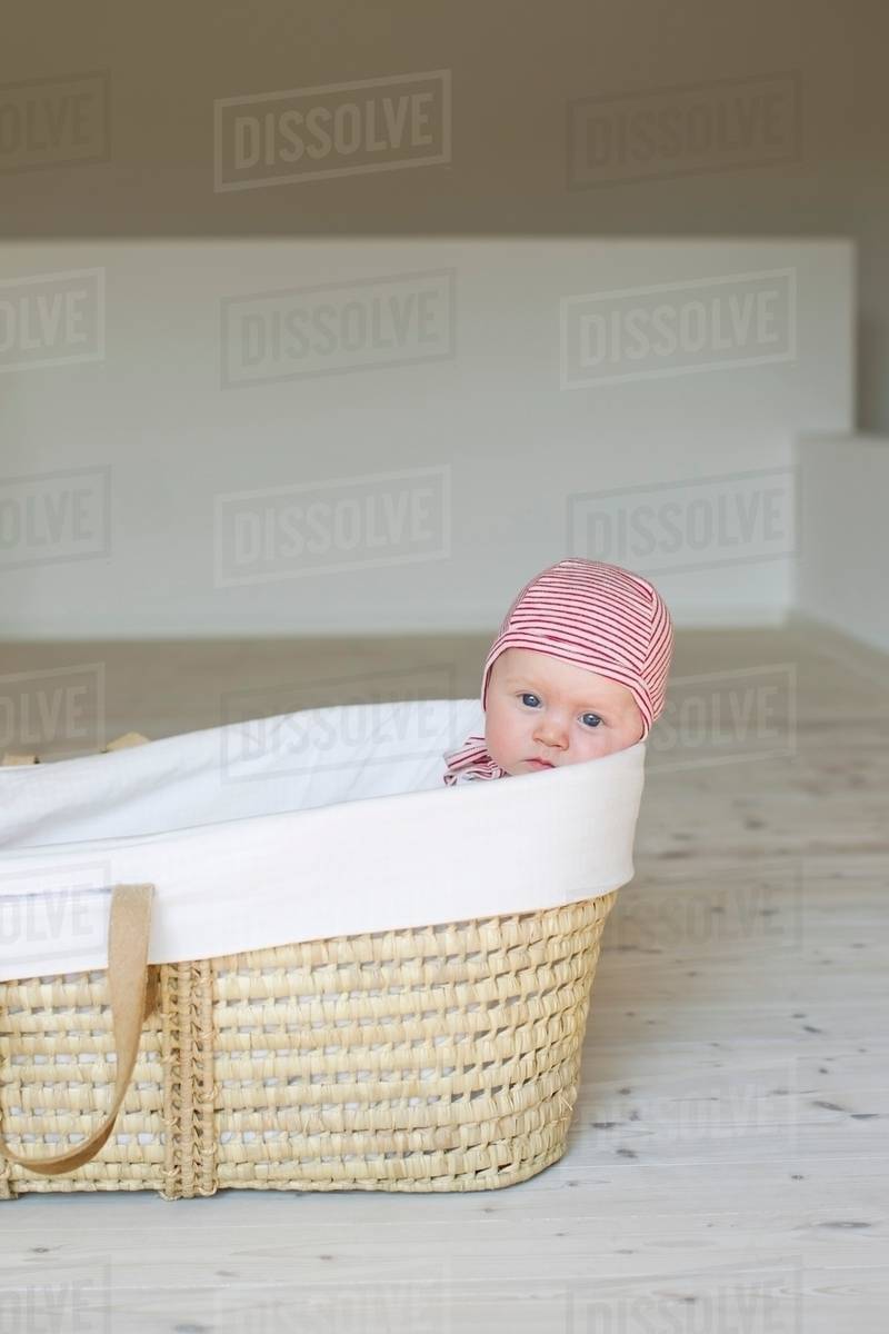 Portrait of baby girl in moses basket Stock Photo Dissolve