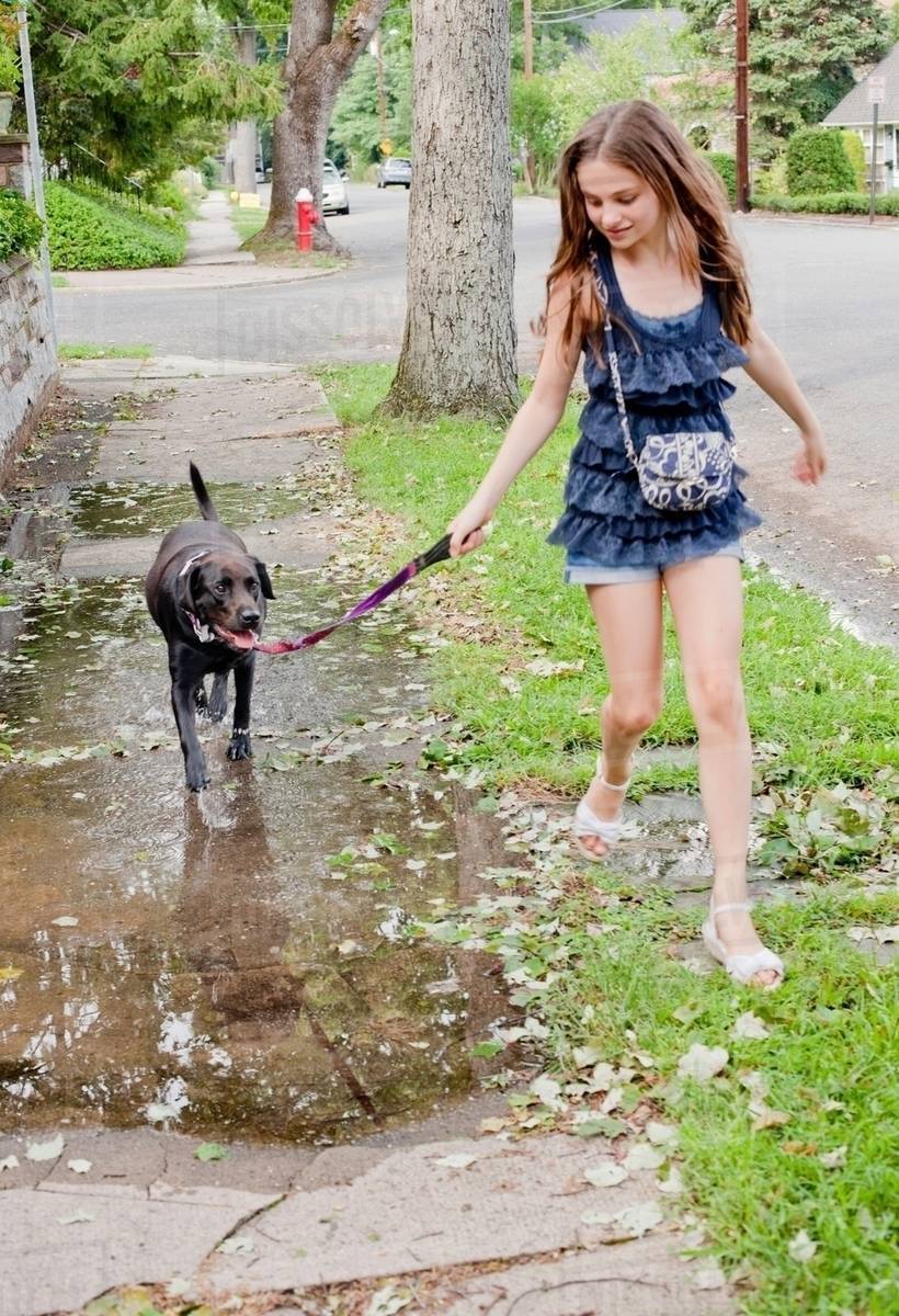 Girl walking her dog in puddle Stock Photo Dissolve