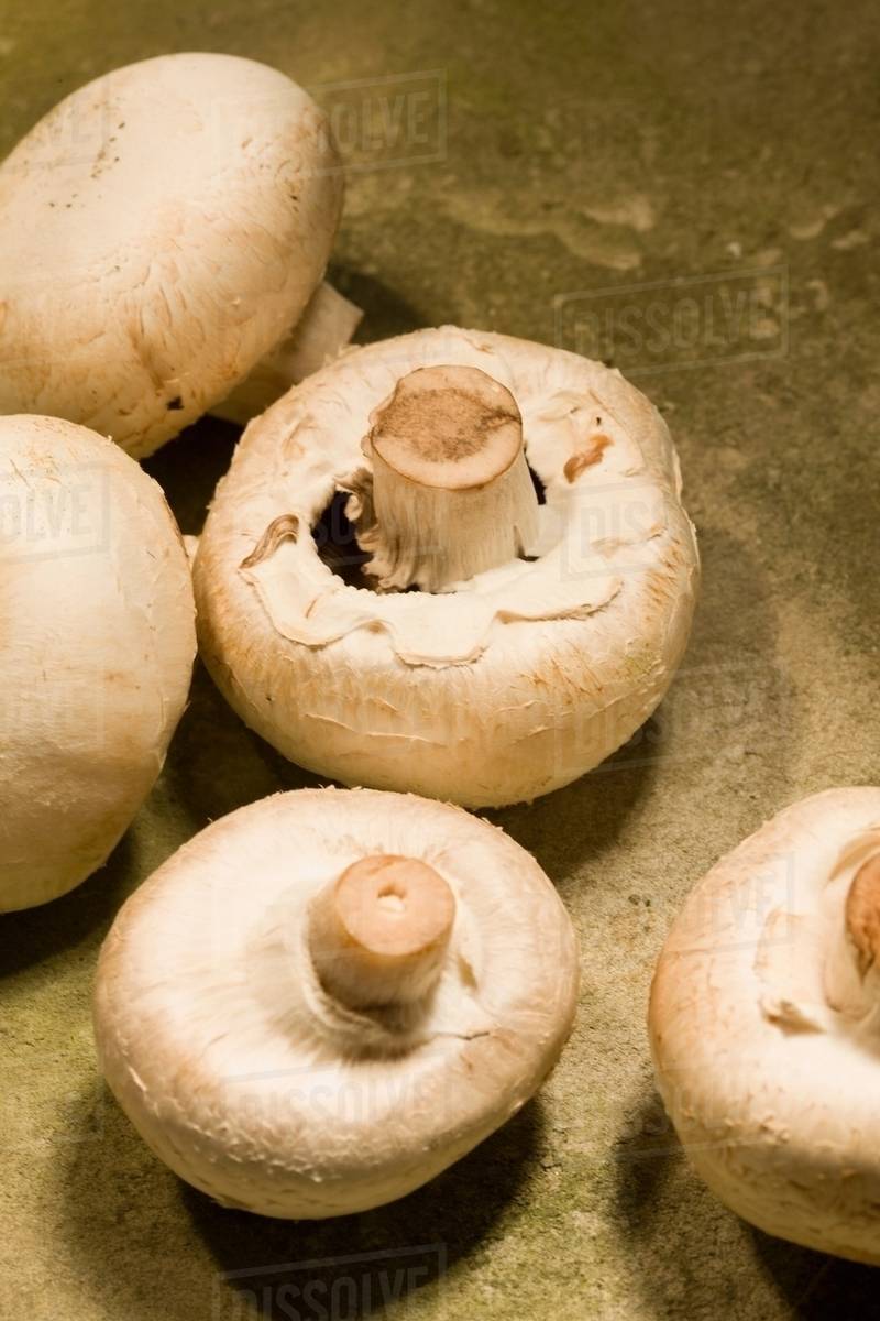 White mushrooms Stock Photo Dissolve