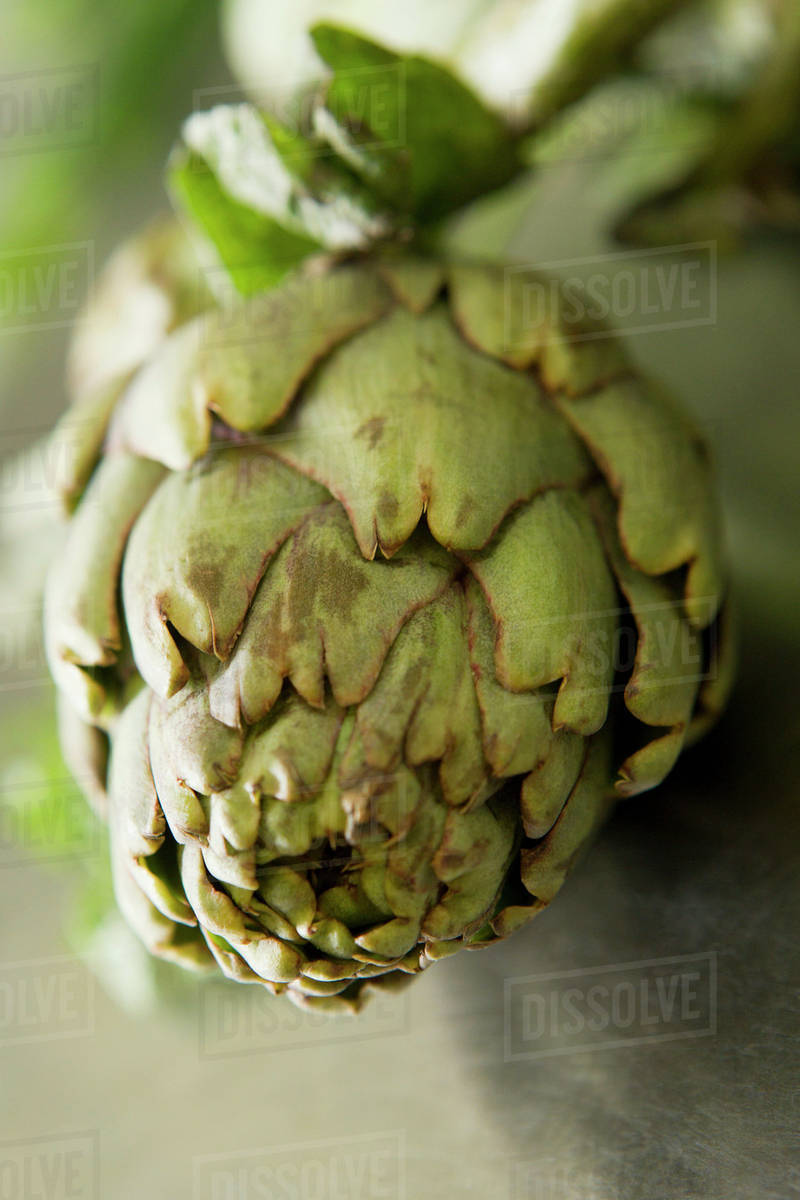 Fresh artichoke Stock Photo Dissolve