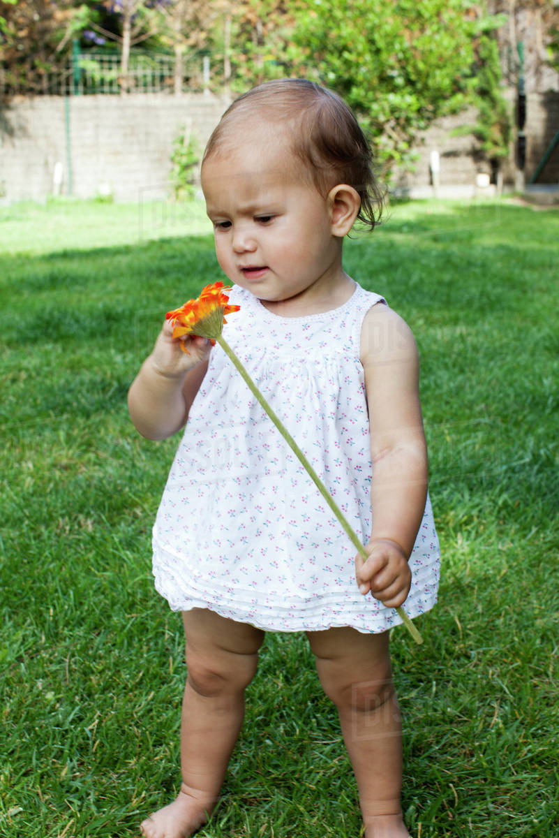 Baby girl holding daisy - Royalty-free Stock Photo | Dissolve