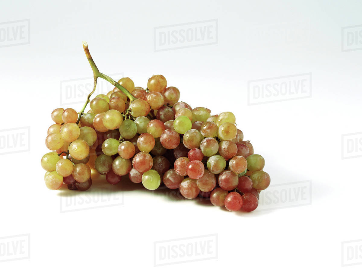 Bunch of red grapes Stock Photo Dissolve