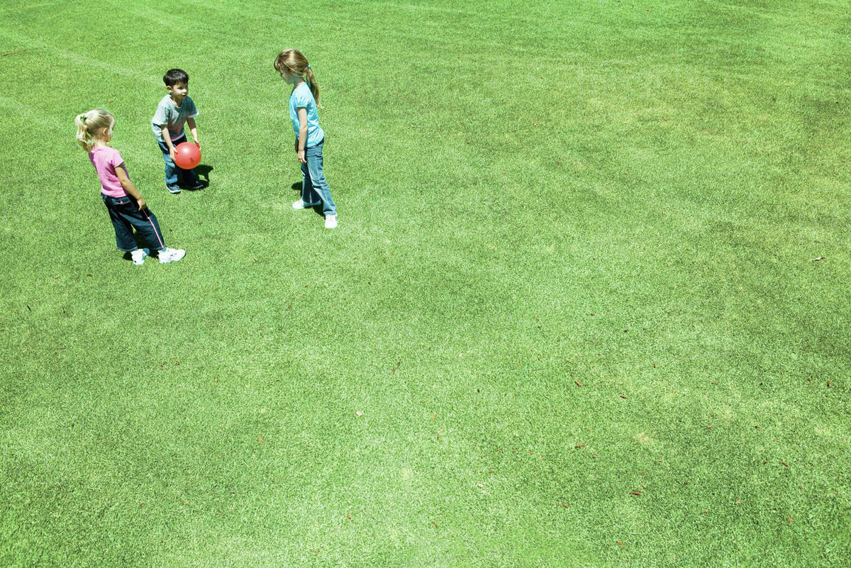Children playing ball on grass Stock Photo Dissolve
