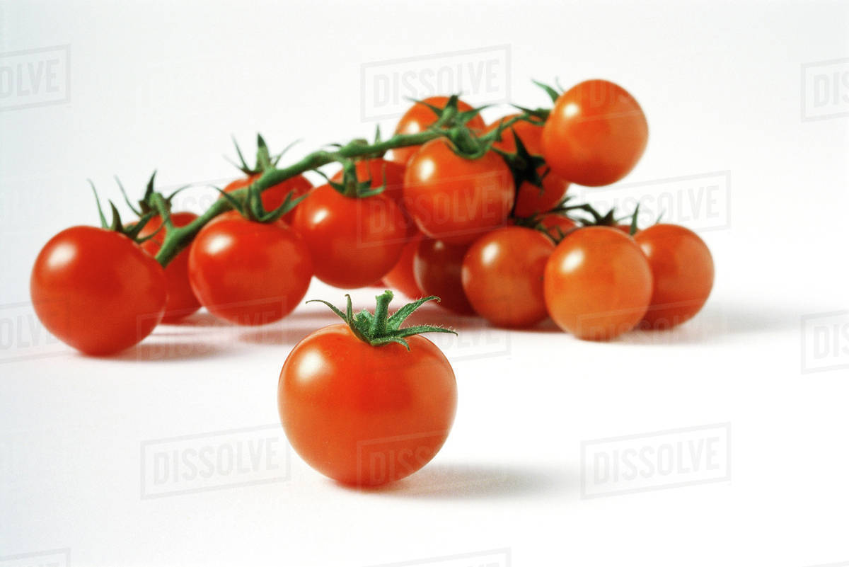 Vine tomatoes, closeup Stock Photo Dissolve