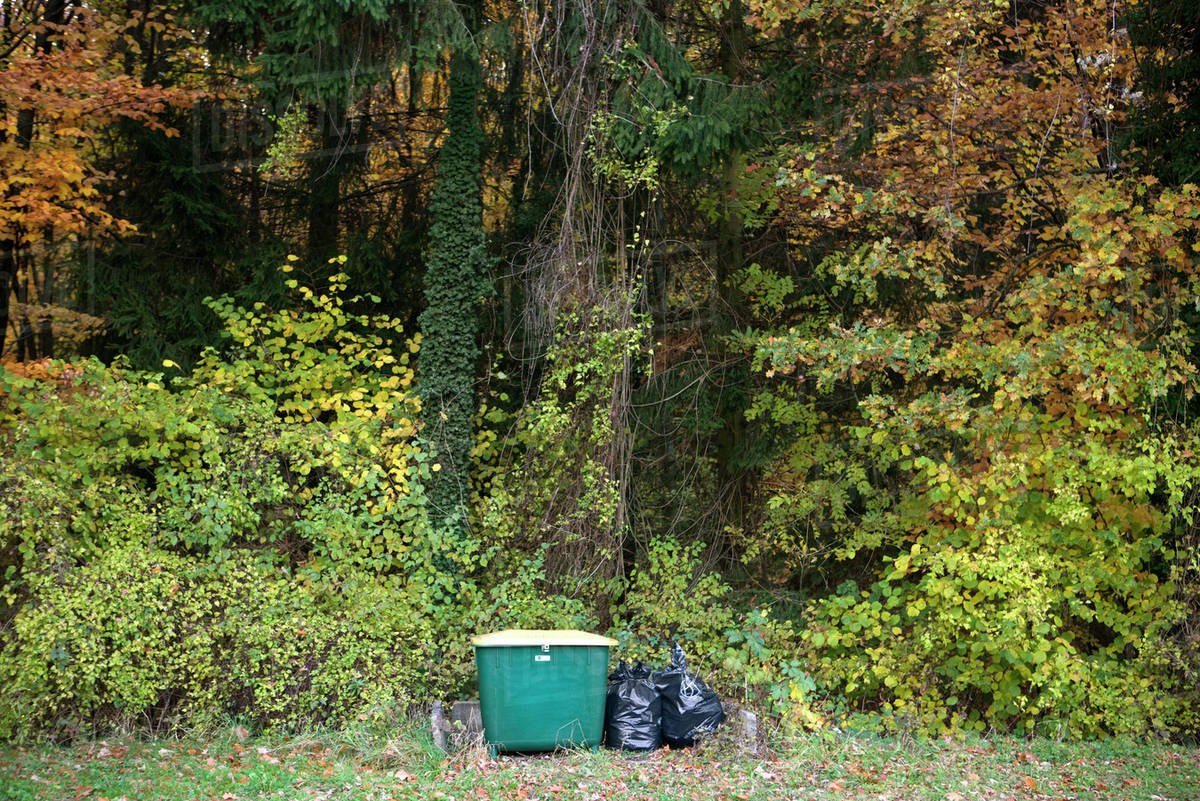 Garbage Bags And Compost Bin In Wooded Landscape Stock Photo Garbage Bags And Compost Bin In Wooded Landscape
