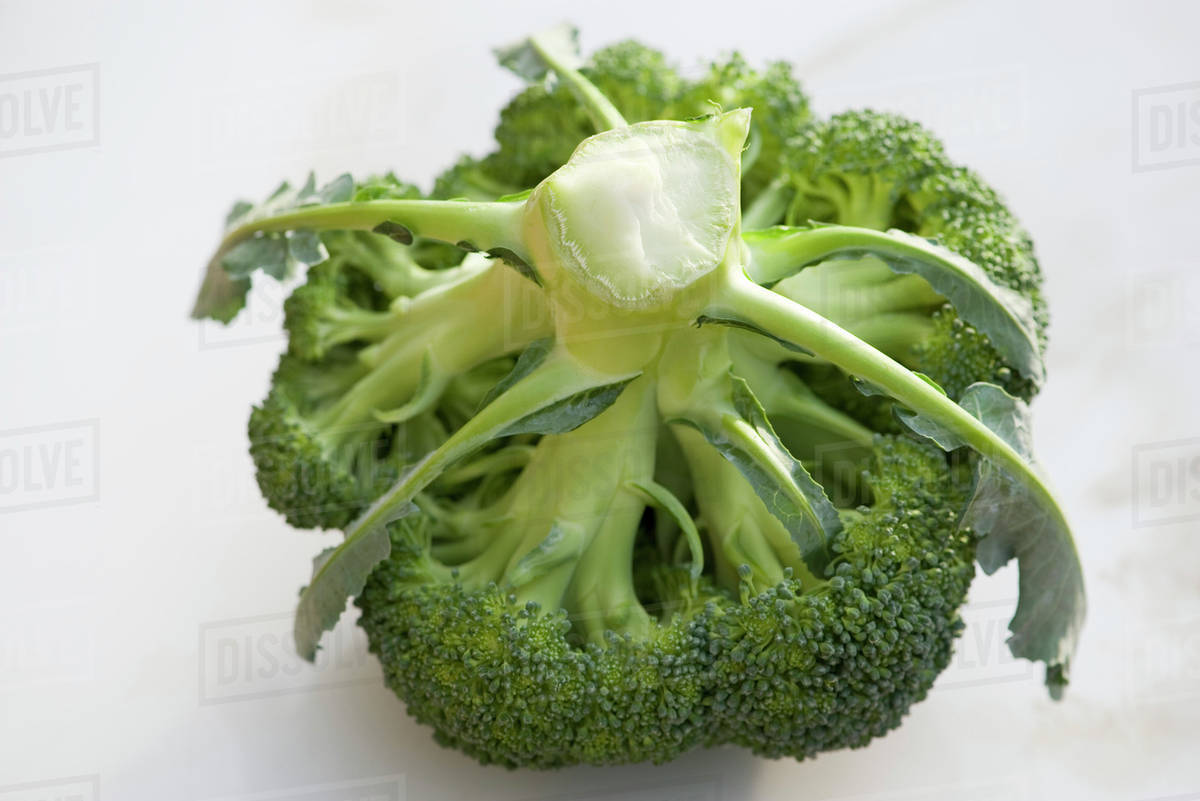 Broccoli crown Stock Photo Dissolve