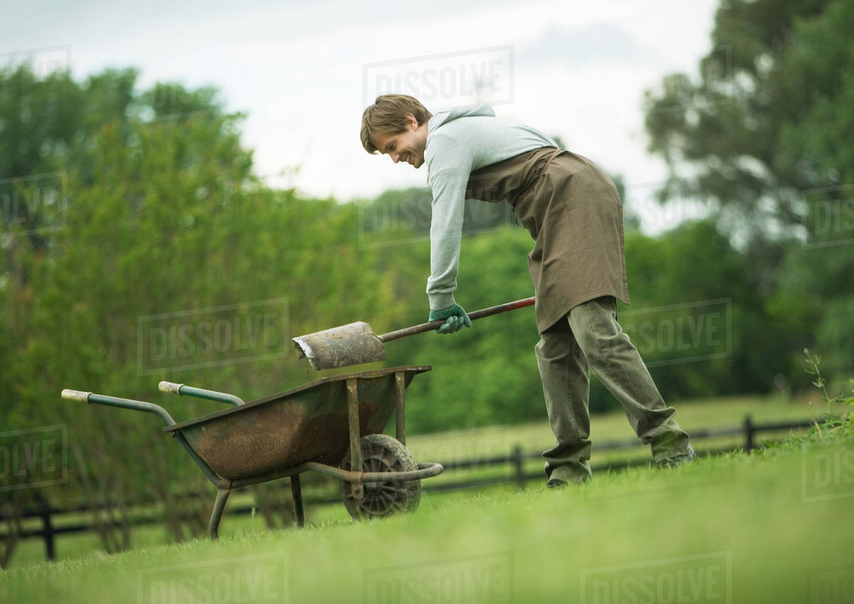 Man shoveling dirt into wheelbarrow Stock Photo Dissolve