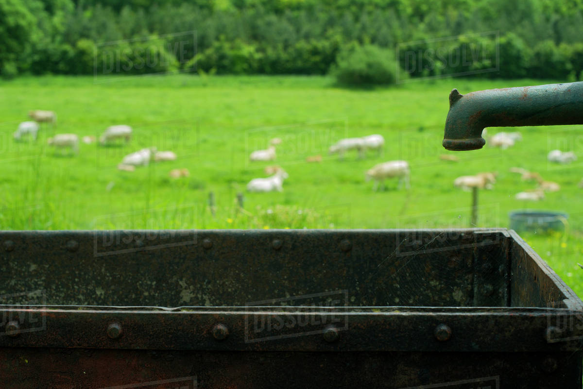 Watering trough on farm Stock Photo Dissolve