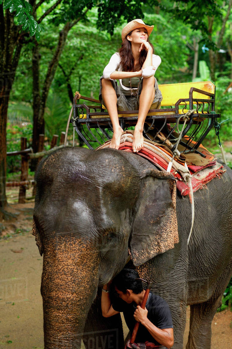 Young woman riding elephant, hand on chin, Phuket, Thailand Stock
