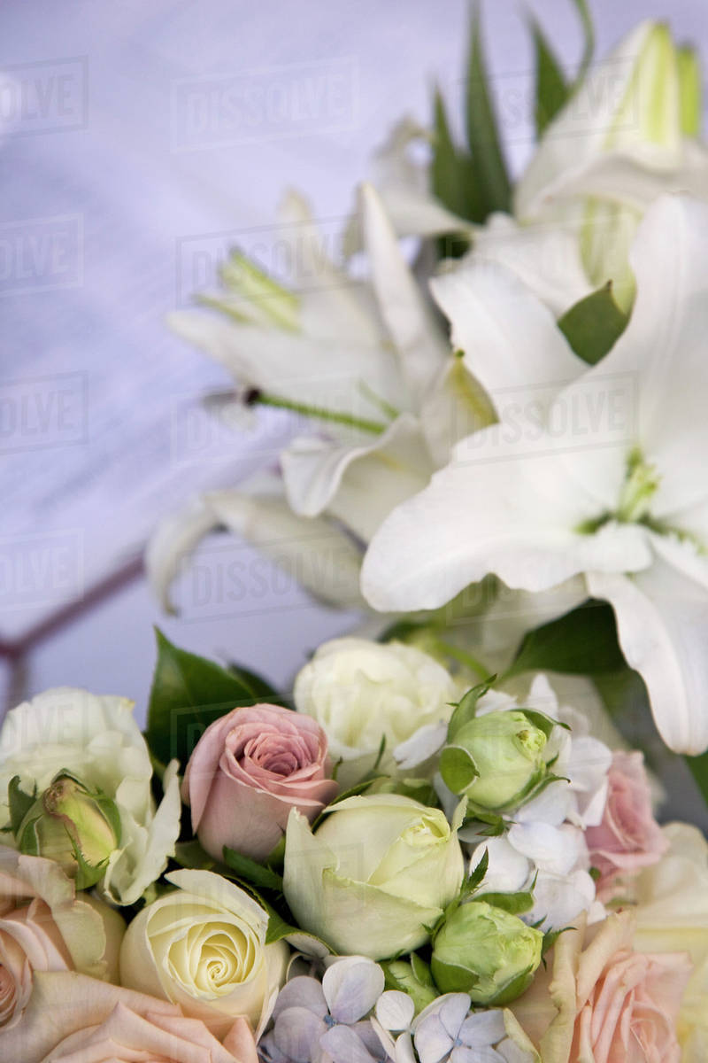 Bunches of flowers Stock Photo Dissolve