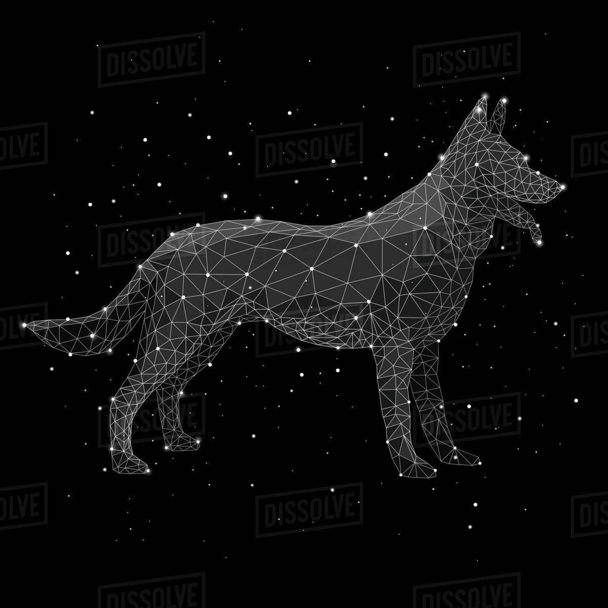 digital composite image of constellation forming wolf against black composite background