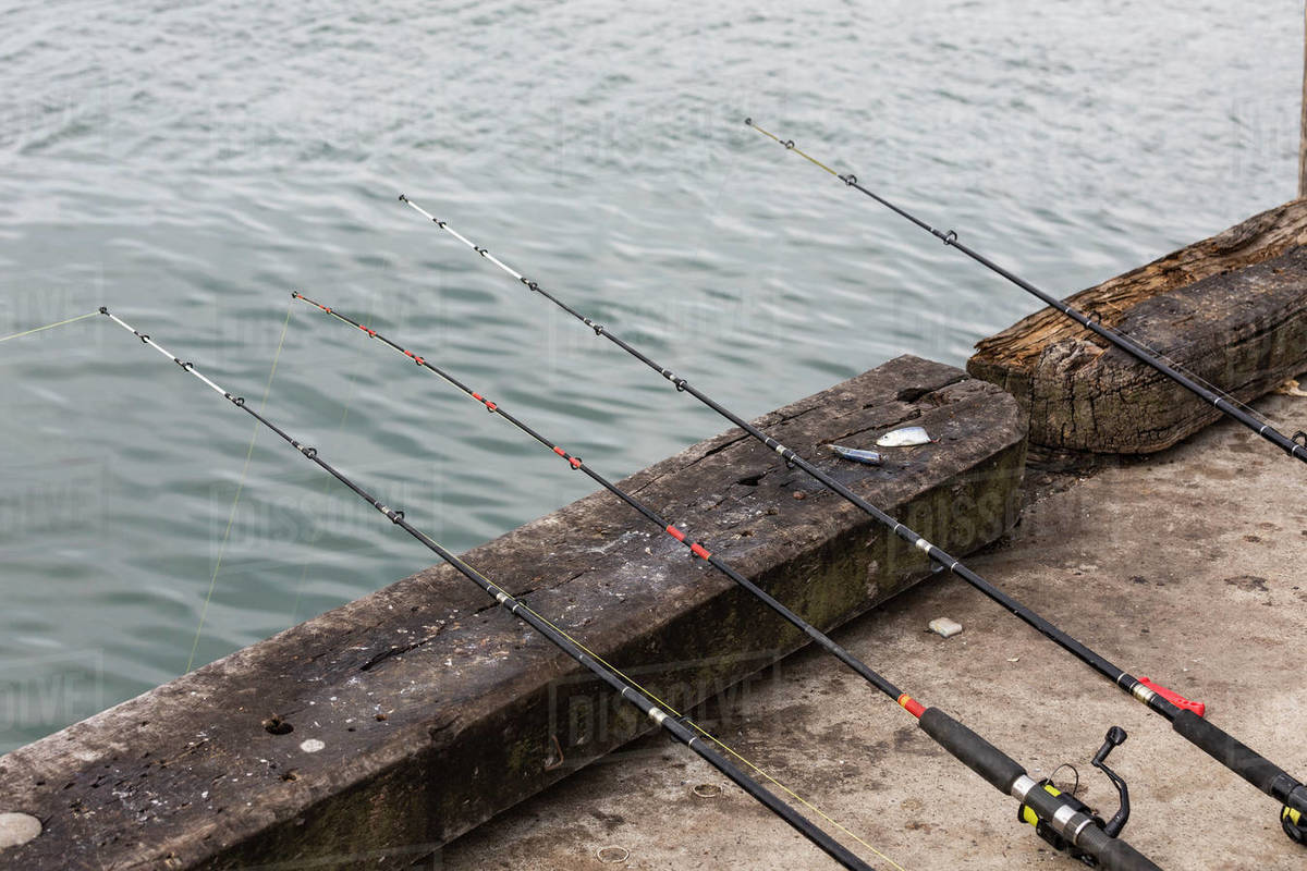 hanging fishing rods