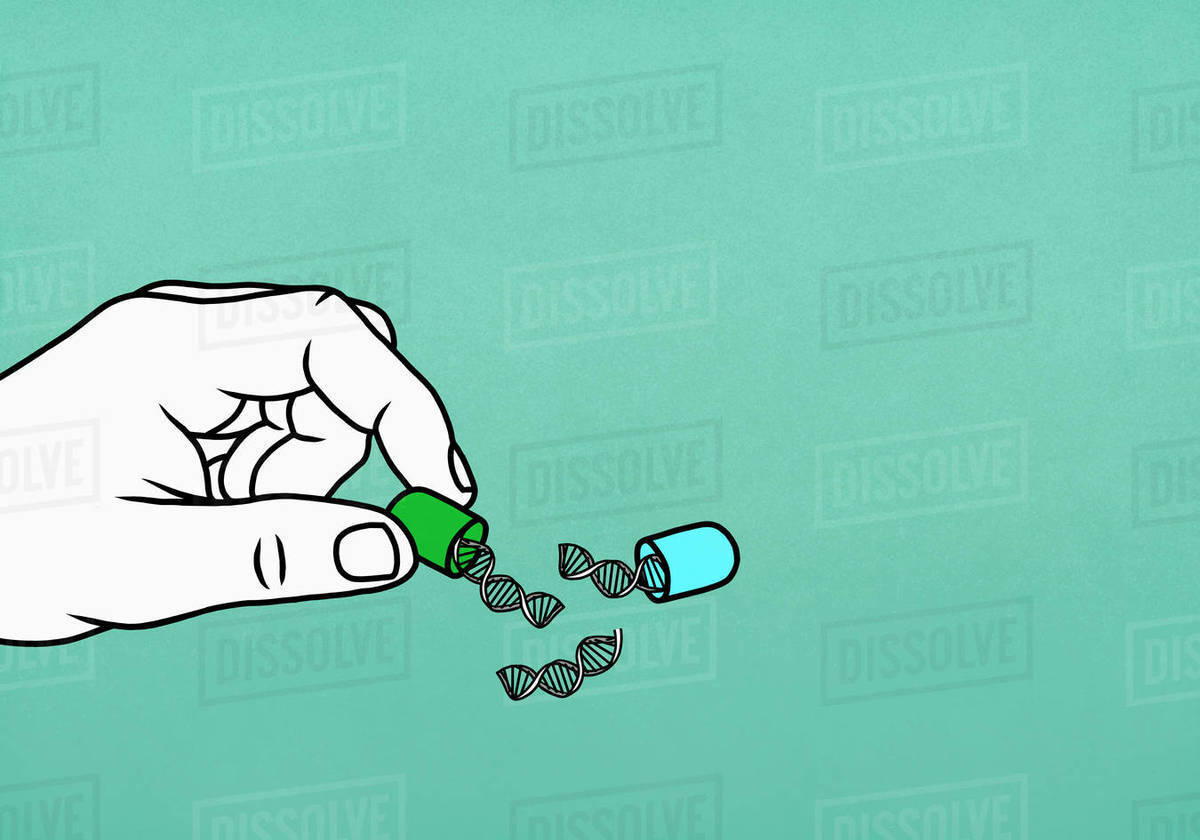 Double helices inside medicine capsule Stock Photo Dissolve